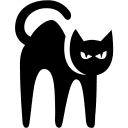Progressor indefinite cat icon cat